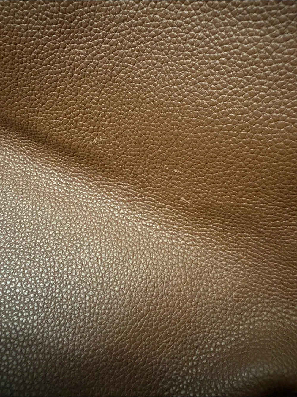 Dooney & Bourke stylish brown